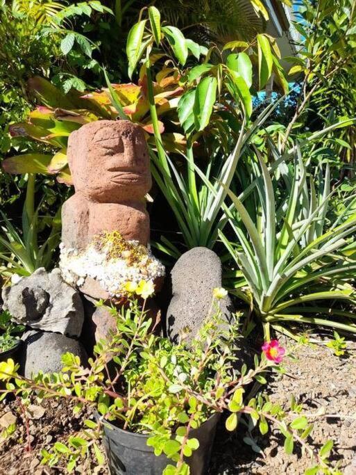 Te Mana Lodge Taravao 外观 照片